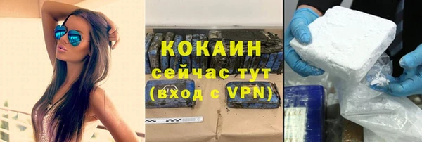 дживик Касимов