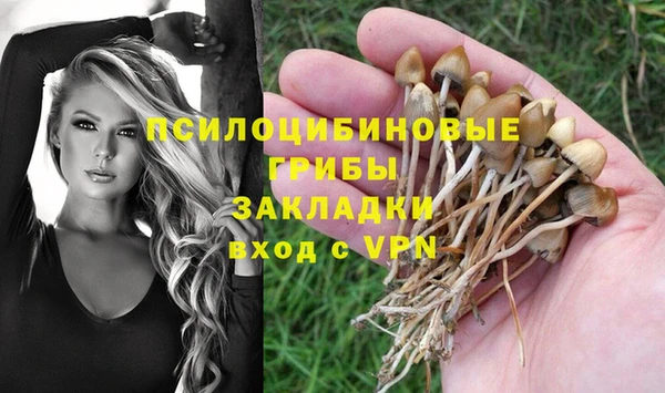 эйфоретик Карталы