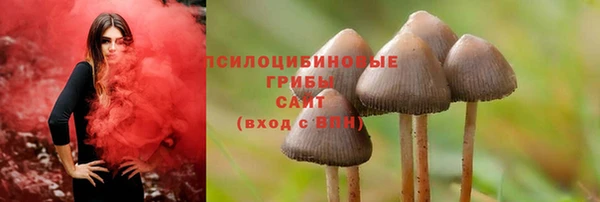 дживик Касимов