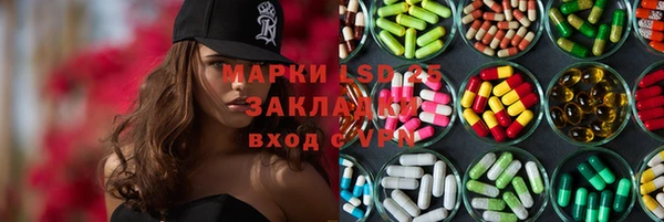 дживик Касимов