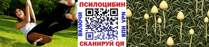 Купить закладки  Севск  Галлюциногенные грибы мицелий 